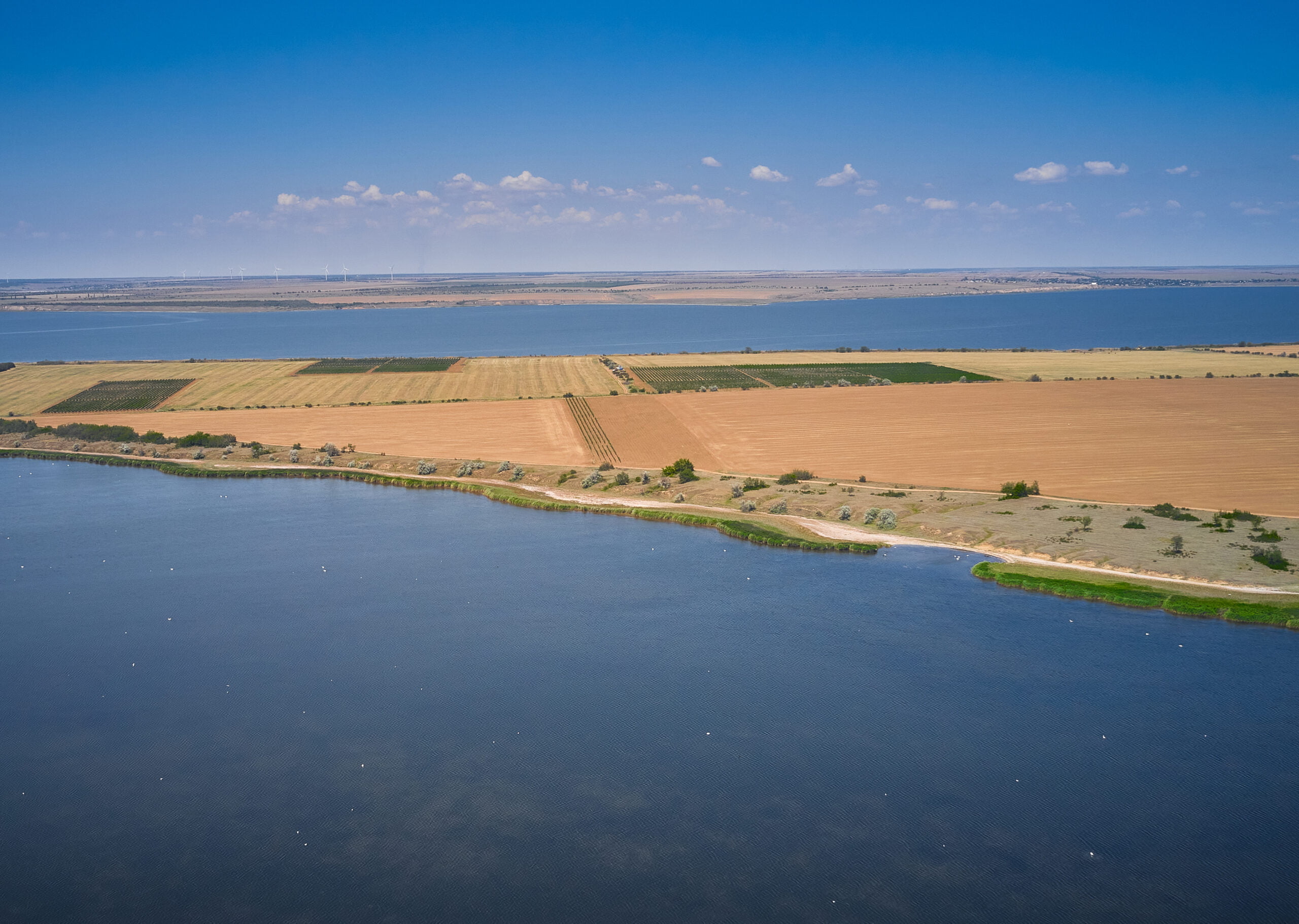 Виноградники Бейкуш